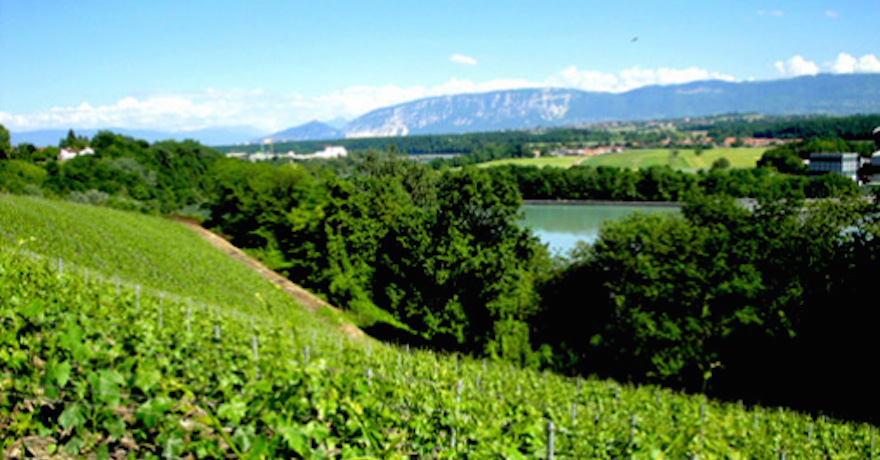 Domaine du Paradis