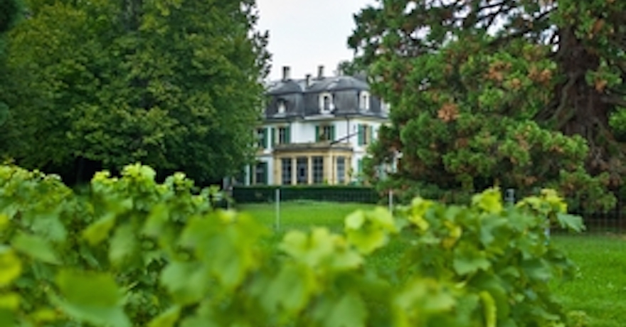 Domaine de Montmollin