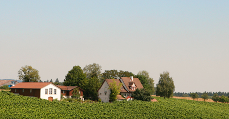 Weingut Familie Zahner