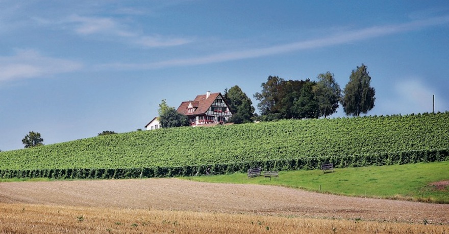 Weingut Familie Zahner