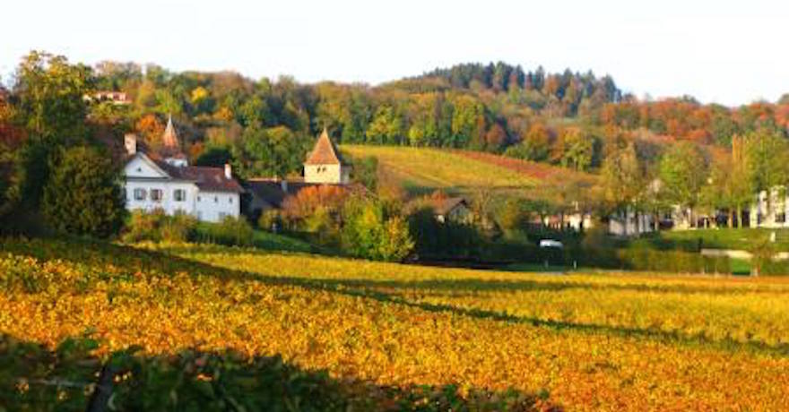 Domaine le Satyre