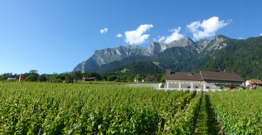 Weinstube Alter Torkel