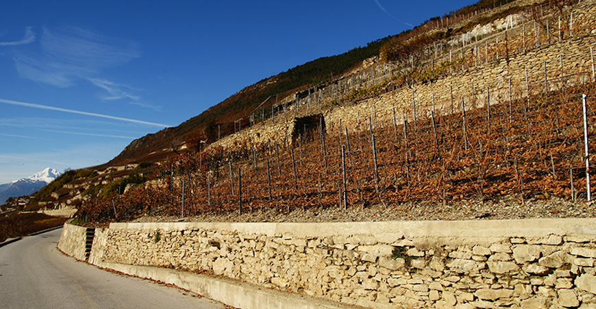 Le Clos de Tsampéhro