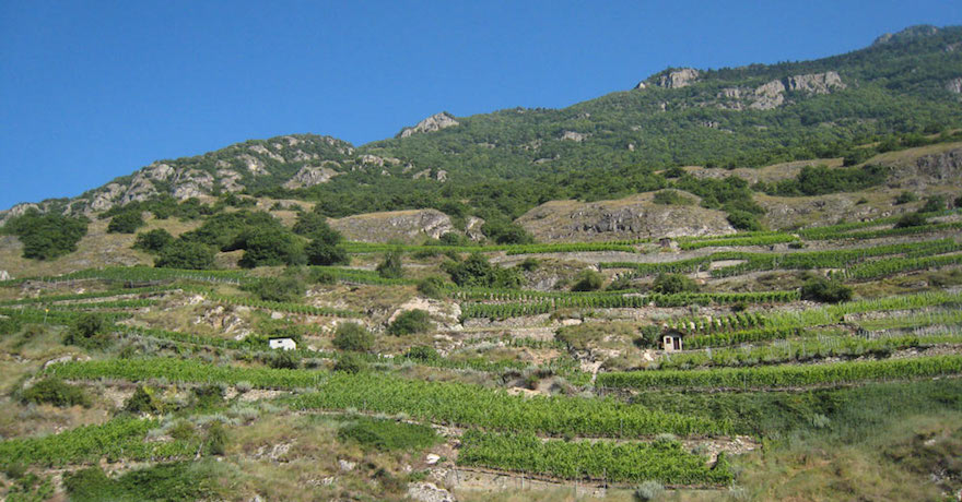 Domaine la Liaudisaz