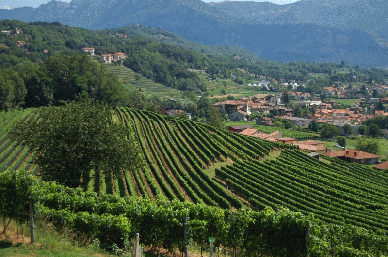 Cantina Sociale di Mendrisio